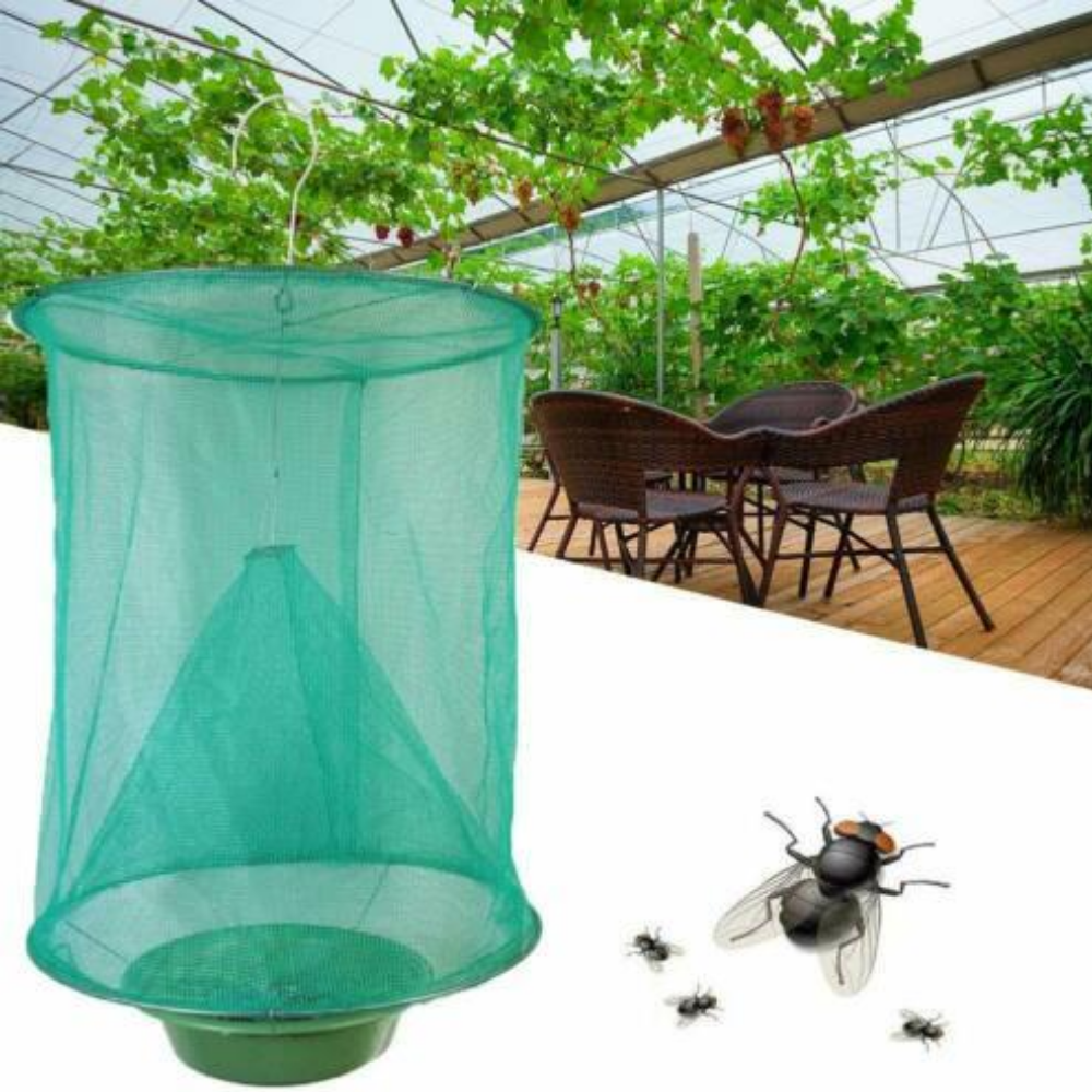 The 7 Best Fly Traps of 2024