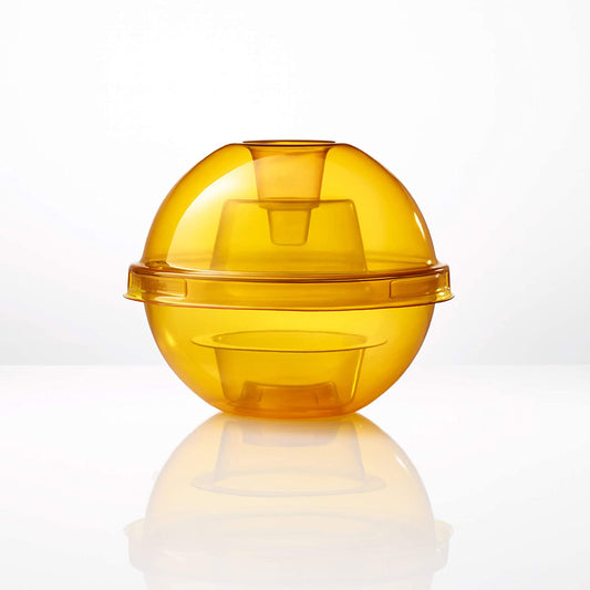 Kitchen Fruit Fly Trap (Set of 5)