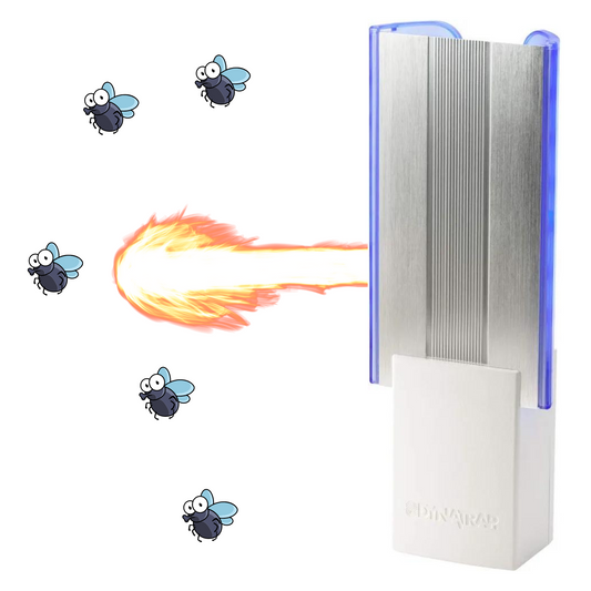 Indoor Kitchen Fly Trap